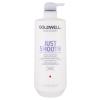Goldwell Dualsenses Just Smooth Kondicionér pro ženy 1000 ml