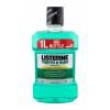 Listerine Teeth &amp; Gum Defence Defence Fresh Mint Mouthwash Ústní voda 1000 ml