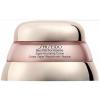 Shiseido Bio-Performance Advanced Super Restoring Cream Denní pleťový krém pro ženy 75 ml poškozená krabička
