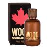 Dsquared2 Wood Toaletní voda pro muže 100 ml