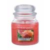 Yankee Candle Sun-Drenched Apricot Rose Vonná svíčka 411 g