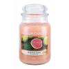 Yankee Candle Delicious Guava Vonná svíčka 623 g