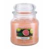 Yankee Candle Delicious Guava Vonná svíčka 411 g