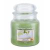 Yankee Candle Vanilla Lime Vonná svíčka 411 g