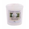 Yankee Candle Camellia Blossom Vonná svíčka 49 g