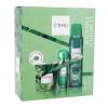 C-THRU Luminous Emerald Dárková kazeta toaletní voda 30 ml + deodorant 150 ml + svíčka