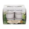 Yankee Candle Camellia Blossom Vonná svíčka 117,6 g