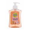 Dettol Soft On Skin Fruity Bubbles Tekuté mýdlo pro děti 250 ml