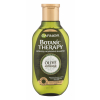 Garnier Botanic Therapy Olive Mythique Šampon pro ženy 250 ml