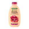 Garnier Botanic Therapy Ricinus Oil &amp; Almond Šampon pro ženy 250 ml