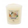 Yankee Candle Christmas Cookie Vonná svíčka 49 g