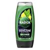 Radox Refreshment Menthol And Citrus 3-in-1 Shower Gel Sprchový gel pro muže 225 ml