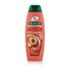 Palmolive Naturals Hydra Balance 2in1 Šampon pro ženy 350 ml