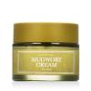 I'm From Mugwort Cream Denní pleťový krém 50 g