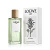 Loewe Aire Sutileza Toaletní voda pro ženy 50 ml