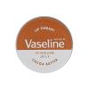 Vaseline Lip Therapy Cocoa Butter Balzám na rty pro ženy 20 g