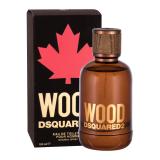 Dsquared2 Wood Toaletní voda pro muže 100 ml
