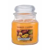 Yankee Candle Mango Peach Salsa Vonná svíčka 411 g