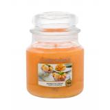 Yankee Candle Mango Ice Cream Vonná svíčka 411 g