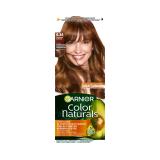 Garnier Color Naturals Barva na vlasy pro ženy 40 ml Odstín 6.34 Chocolate