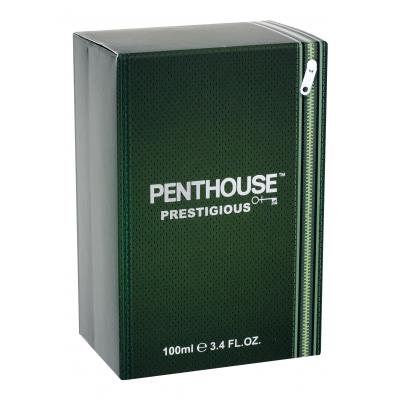 Penthouse Prestigious Toaletní voda pro muže 100 ml
