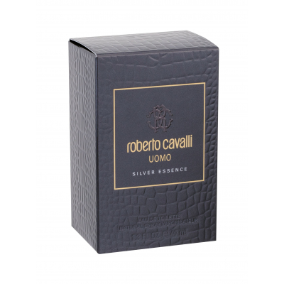 Roberto Cavalli Uomo Silver Essence Toaletní voda pro muže 40 ml
