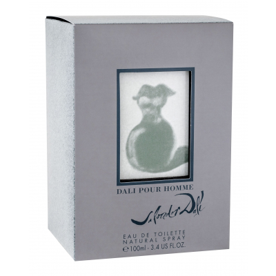 Salvador Dali Pour Homme Toaletní voda pro muže 100 ml