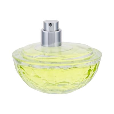 DKNY DKNY Be Delicious Icy Apple Parfémovaná voda pro ženy 50 ml tester