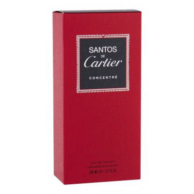 Cartier Santos De Cartier Concentré Toaletní voda pro muže 100 ml
