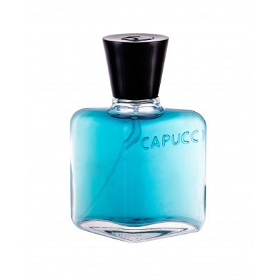 Roberto Capucci Blu Water Parfémovaná voda pro muže 100 ml