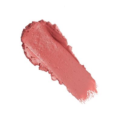 Revolution Pro New Neutral Satin Matte Lipstick Rtěnka pro ženy 3,2 g Odstín Tease