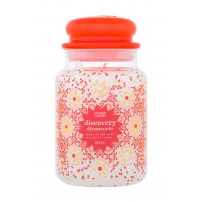 Yankee Candle Discovery 2021 Vonná svíčka 623,7 g
