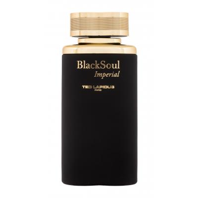 Ted Lapidus Black Soul Imperial Toaletní voda pro muže 100 ml