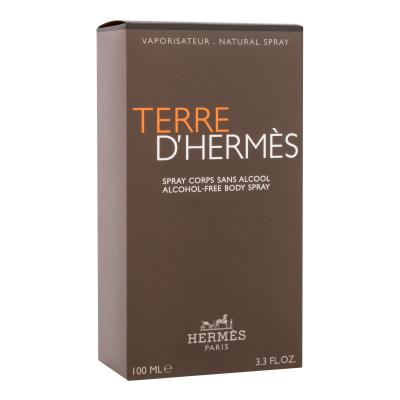 Hermes Terre d´Hermès Tělový sprej pro muže 100 ml