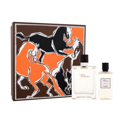 Hermes Terre d´Hermès SET2 Dárková kazeta toaletní voda 100 ml + sprchový gel 80 ml