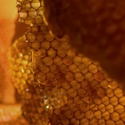 Garnier Botanic Therapy Honey Treasure Hair Remedy Maska na vlasy pro ženy 340 ml