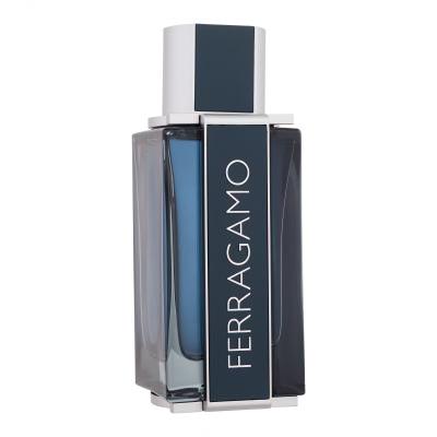 Ferragamo Ferragamo Intense Leather Parfémovaná voda pro muže 100 ml