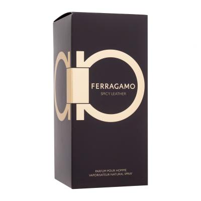 Ferragamo Ferragamo Spicy Leather Parfém pro muže 100 ml