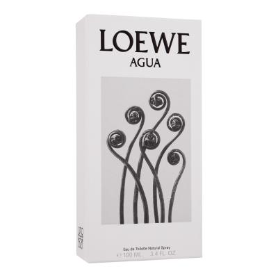 Loewe Agua Toaletní voda 100 ml