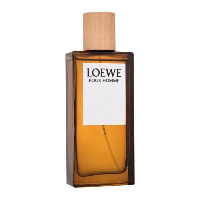 Loewe Pour Homme Toaletní voda pro muže 100 ml