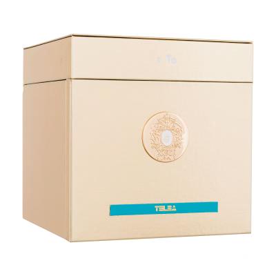 Tiziana Terenzi Telea Parfémový extrakt 100 ml