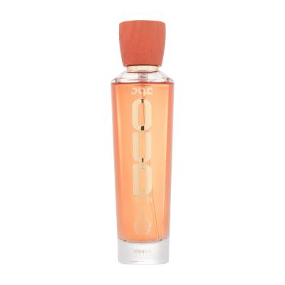 House Of Perfumes Oud Saffron Parfémovaná voda 100 ml