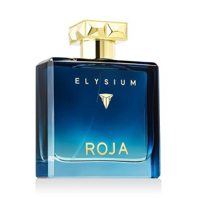 Roja Parfums Elysium Parfémovaná voda pro muže 100 ml