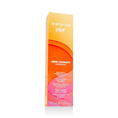 Inebrya Color Super Lighteners Barva na vlasy 100 ml Odstín 12/1 Superlight Platinum Blonde Extra Ash