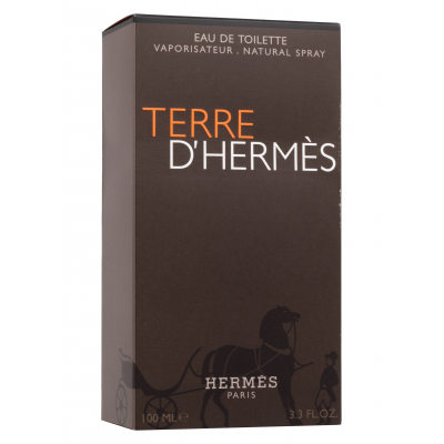 Hermes Terre d´Hermès Toaletní voda pro muže 100 ml