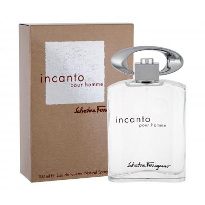 Ferragamo Incanto Toaletní voda pro muže 100 ml