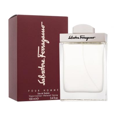 Ferragamo Pour Homme Toaletní voda pro muže 100 ml