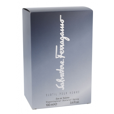 Ferragamo Subtil Pour Homme Toaletní voda pro muže 100 ml