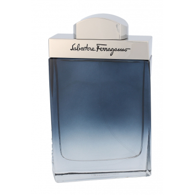 Ferragamo Subtil Pour Homme Toaletní voda pro muže 100 ml