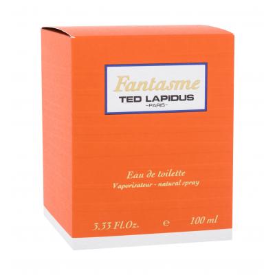 Ted Lapidus Fantasme Toaletní voda pro ženy 100 ml